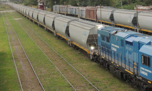 Trenes Argentinos Cargas, Belgrano Cargas, Privatización
