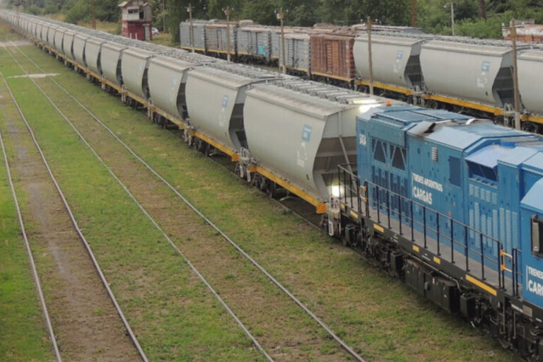 Trenes Argentinos Cargas, Belgrano Cargas, Privatización