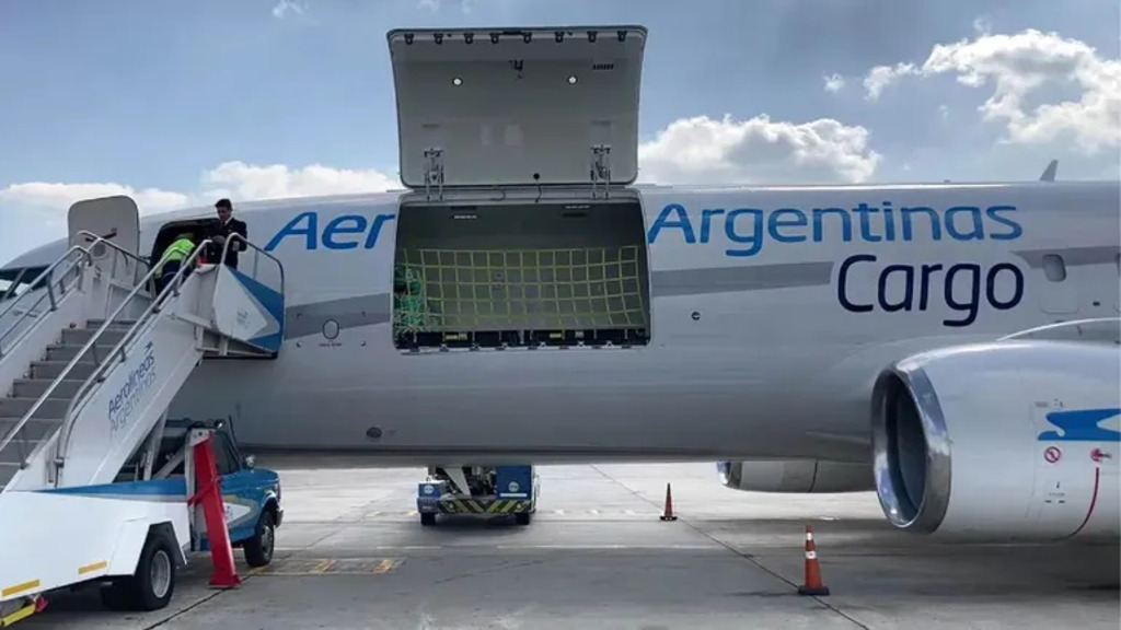 Aerolíneas Argentinas Cargo, servicio courier, Comercio exterior, Transorte de carga aereo