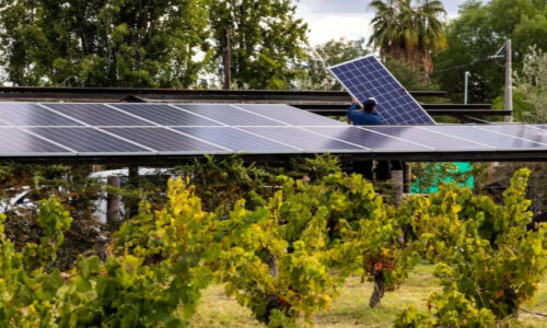 Paneles solares, energía solar, solar, Mendoza, viñedos
