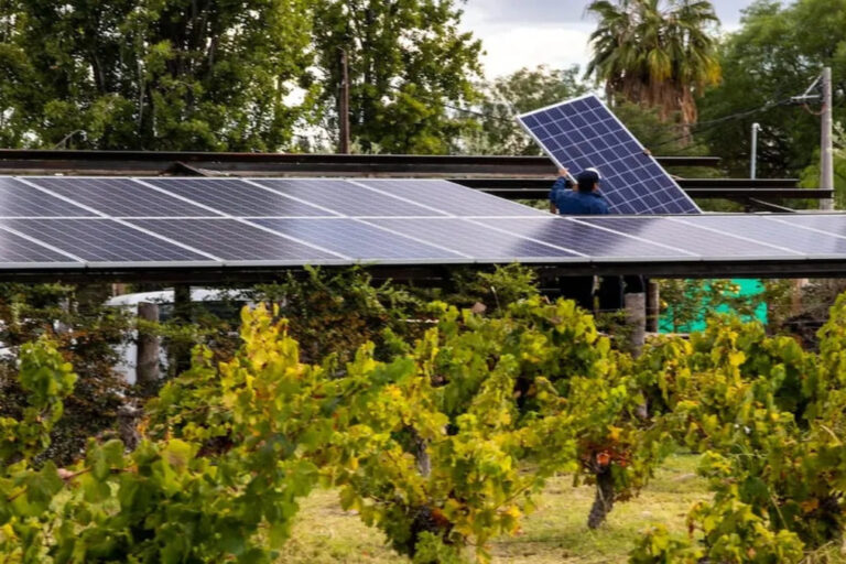 Paneles solares, energía solar, solar, Mendoza, viñedos