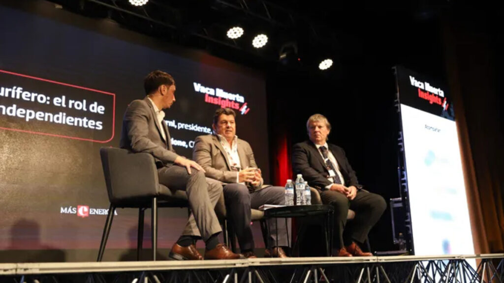 Vaca Muerta Insights, Capex, Quintana Energy, Costos de servicios