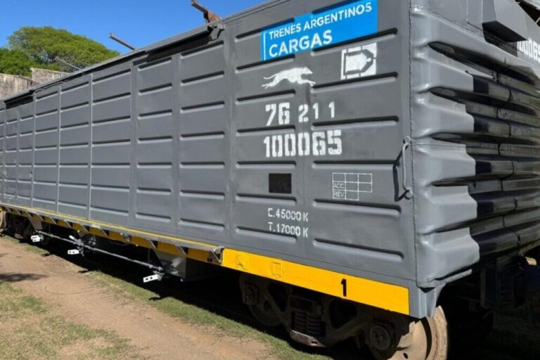 trenes argentinos cargas