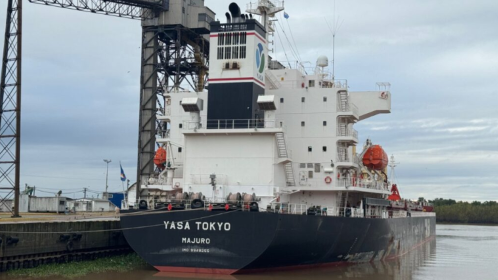 Buque Yasa Tokyo, Puerto San Pedro, Varamiento, Canal de acceso