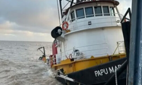 Papu Mar, Puerto de Buenos Aires, Hundición, VNT, Servimagnus