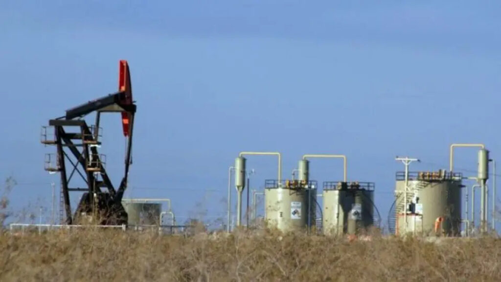 Bentia Energy, Campos Maduros, Vaca Muerta, Hidrocarburos