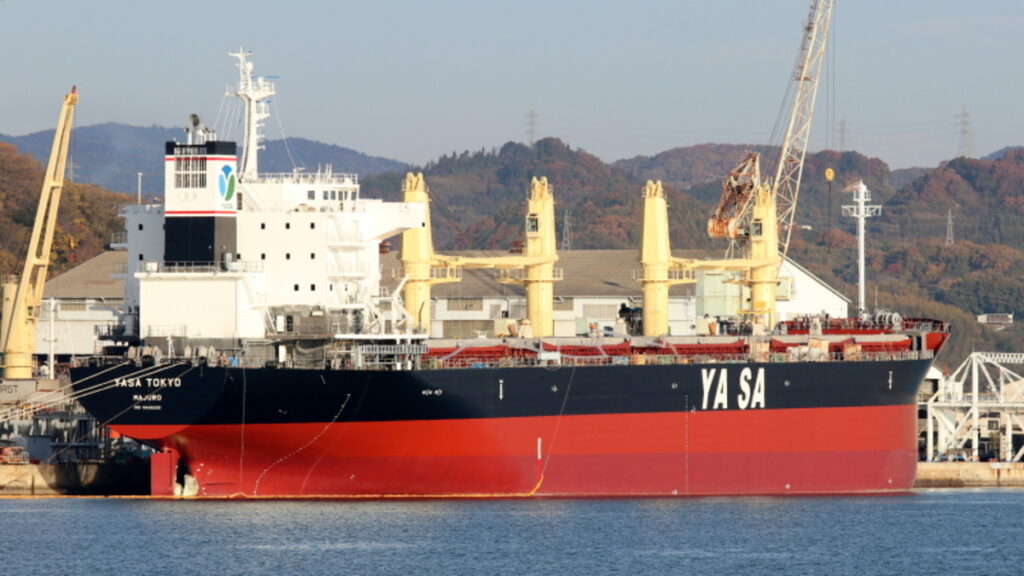 Yasa Tokio, Buque varado, Puerto San Pedro, Obstrucción