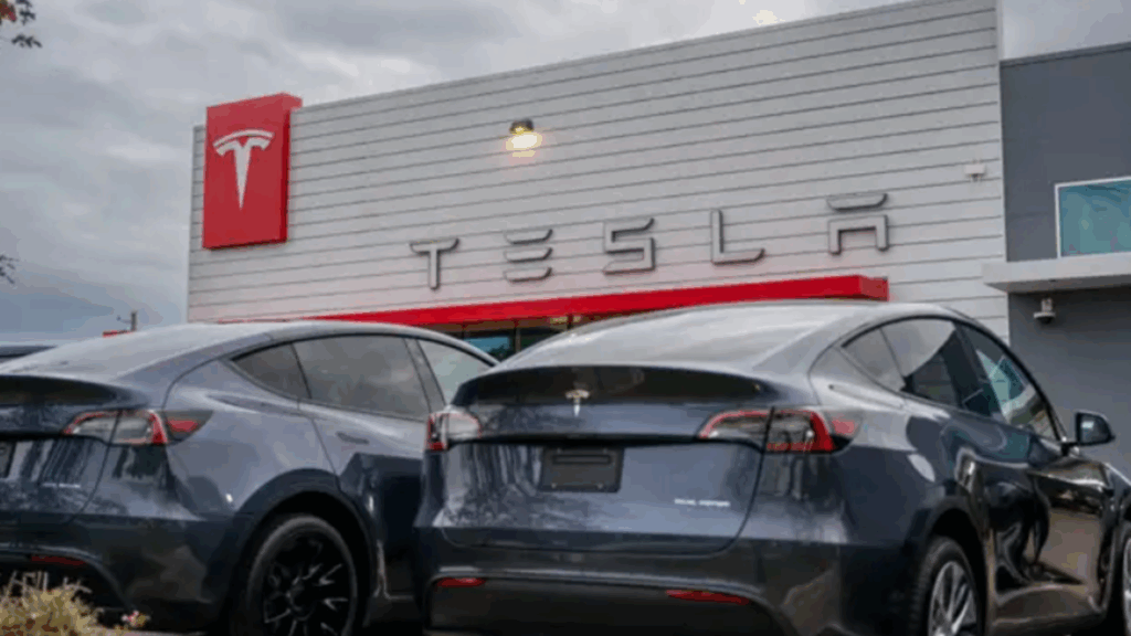 Tesla, Elon Musk, Conducción Autónoma