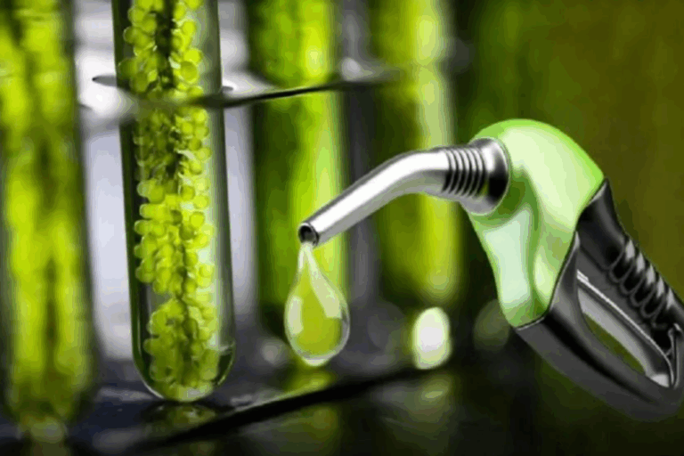 Biocombustibles, Biodiesel, Bioetanol, Estaciones de servicio, Secretaría de Energía