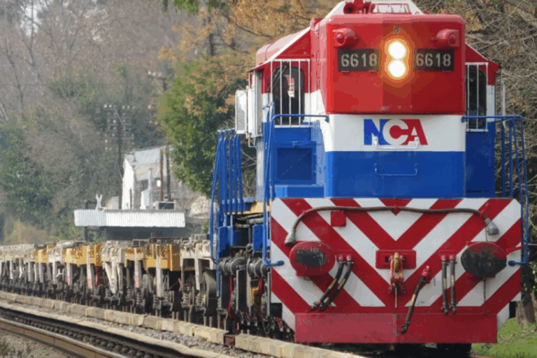 Nuevo Central Argentino, NCA, Trenes Argentinos Cargas, inversión privada