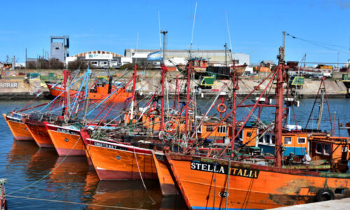 Puerto Mar del Plata, pesca