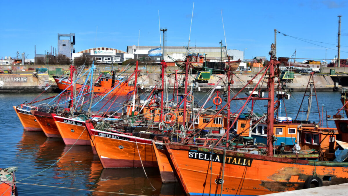 El puerto de Mar del Plata, paralizado por la falta de pesca - Dinamicarg