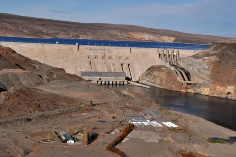 Represas del Comahue, Neuquén, Rio Negro, Cánon de agua, Privatización