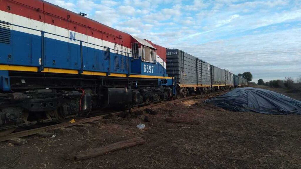 Nuevo Central Argentino, NCA, Trenes Argentinos Cargas, trenes de carga
