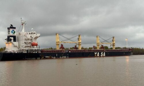 Yasa Tokio, Buque varado, Puerto San Pedro, Obstrucción