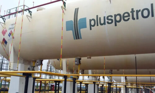 Pluspetrol, GNL, Vaca Muerta Liquids, Cuenca Neuquina