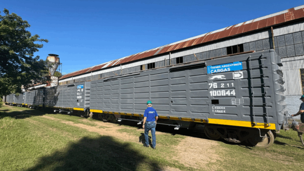 Belgrano Cargas, Privatizaciones, Cerealeras, Trenes de Carga, Ley Bases