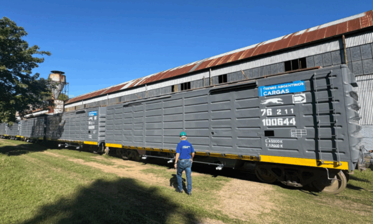 Belgrano Cargas, Privatizaciones, Cerealeras, Trenes de Carga, Ley Bases
