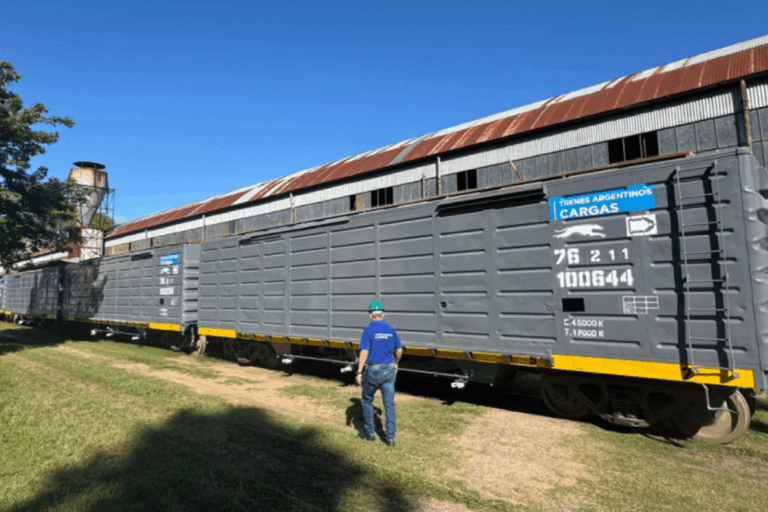 Belgrano Cargas, Privatizaciones, Cerealeras, Trenes de Carga, Ley Bases