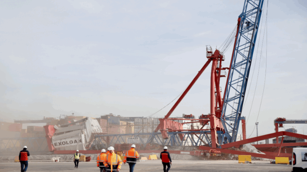 Puerto de Dock Sud, ampliación de muelle, Exolgan, buques Neo Panamax, comercio internacional, infraestructura portuaria