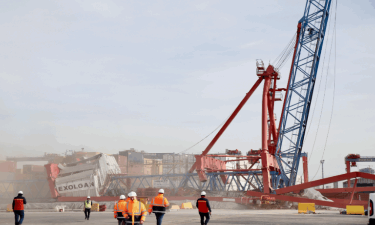 Puerto de Dock Sud, ampliación de muelle, Exolgan, buques Neo Panamax, comercio internacional, infraestructura portuaria