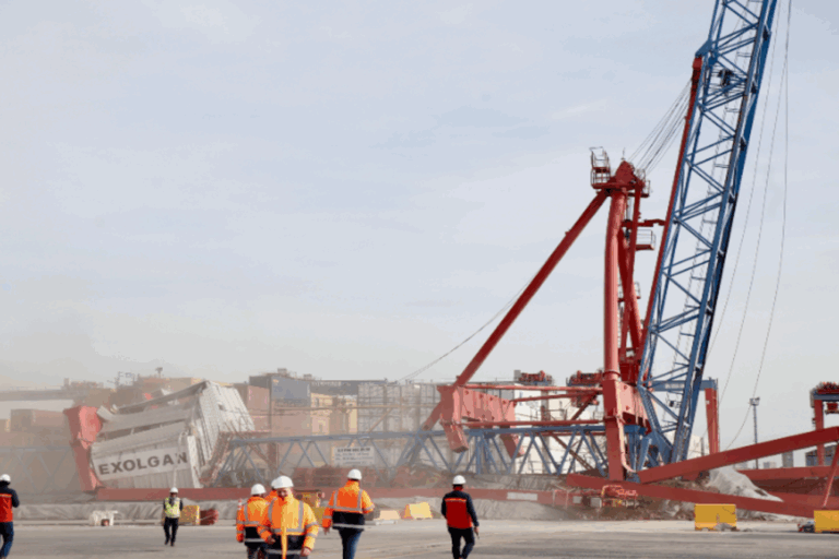 Puerto de Dock Sud, ampliación de muelle, Exolgan, buques Neo Panamax, comercio internacional, infraestructura portuaria