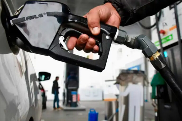 Combustibles, Ventas, INDEC, YPF, impuestos, decreto 617/2025, nafta, gasoil, precios