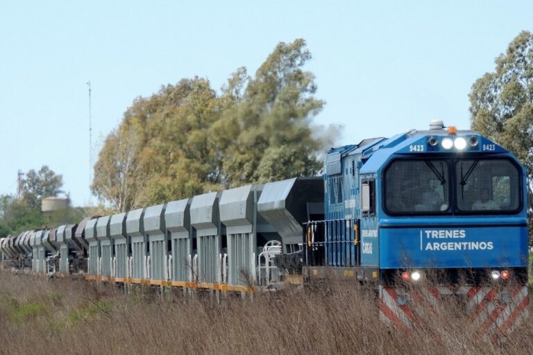 Belgrano Cargas, Privatizaciones, Cerealeras, Trenes de Carga, Ley Bases
