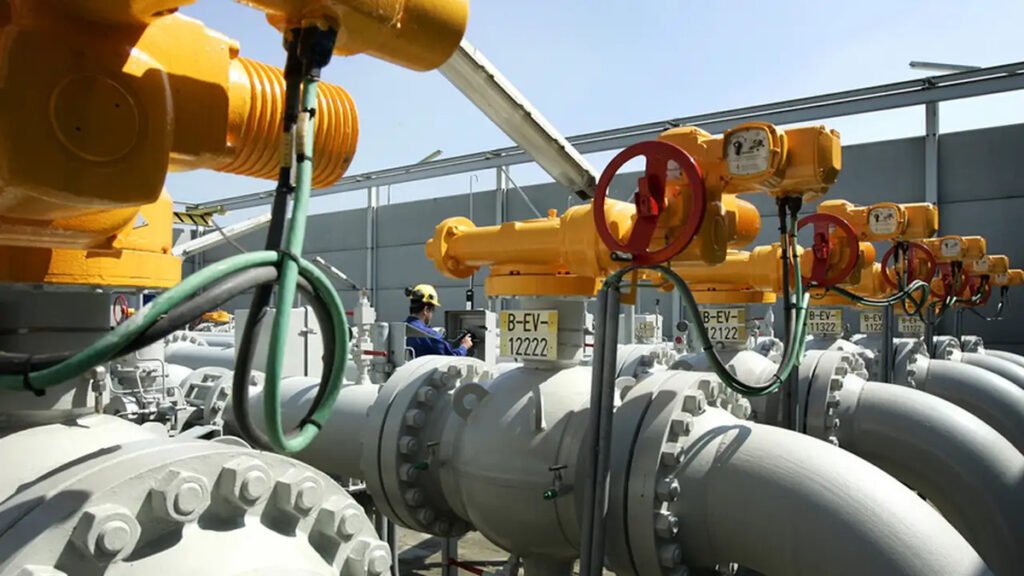 ENARGAS, Gas, Distribución, Licencias, Prórroga, Audiencia, Pública, Camuzzi, Naturgy, Gas NEA