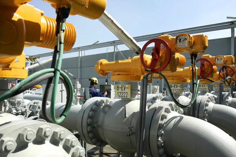 ENARGAS, Gas, Distribución, Licencias, Prórroga, Audiencia, Pública, Camuzzi, Naturgy, Gas NEA
