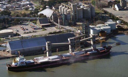 Soja, Gran Rosario, Exportaciones agrícolas, Retenciones agropecuarias, China, Buques Panamax, Comercio exterior,