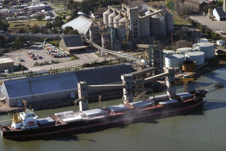 Soja, Gran Rosario, Exportaciones agrícolas, Retenciones agropecuarias, China, Buques Panamax, Comercio exterior,