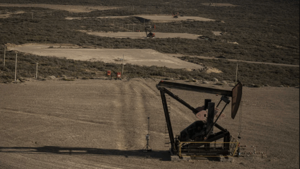 Santa Cruz, YPF, FOMICRUZ, licitación petrolera, hidrocarburos, Cuenca del Golfo San Jorge, bloques convencionales
