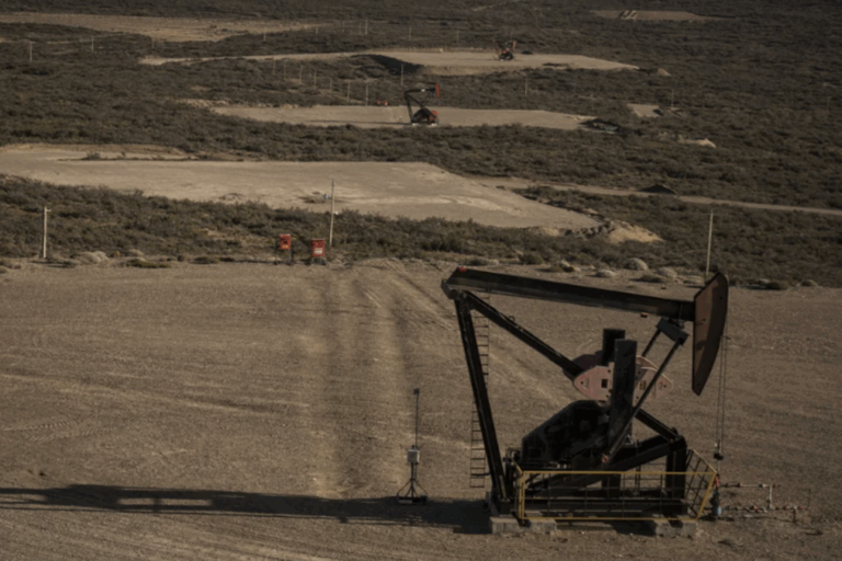 Santa Cruz, YPF, FOMICRUZ, licitación petrolera, hidrocarburos, Cuenca del Golfo San Jorge, bloques convencionales