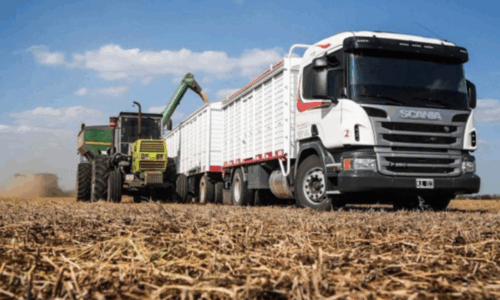 transporte de granos, tarifas de referencia, resolucion 48/2025, secretaria de transporte, ministerio de economia, productores agropecuarios, transportistas
