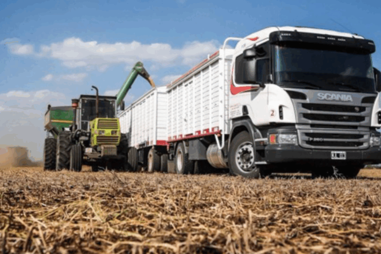 transporte de granos, tarifas de referencia, resolucion 48/2025, secretaria de transporte, ministerio de economia, productores agropecuarios, transportistas