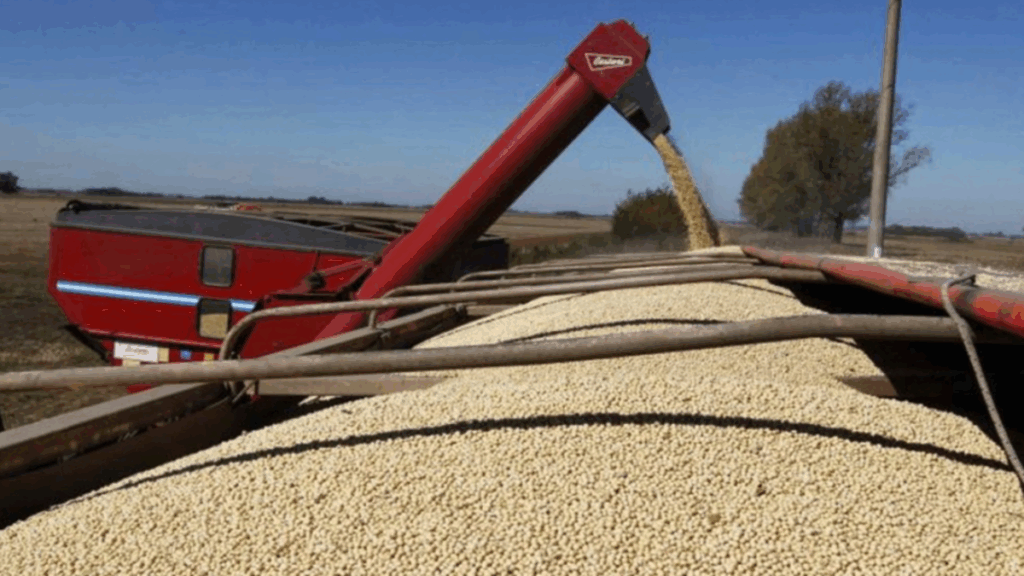 transporte de granos, tarifas de referencia, resolucion 48/2025, secretaria de transporte, ministerio de economia, productores agropecuarios, transportistas