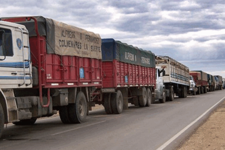 Transporte de cargas, FADEEAC, CEDOL, Costos logísticos, Economía argentina, Infraestructura vial, Combustibles