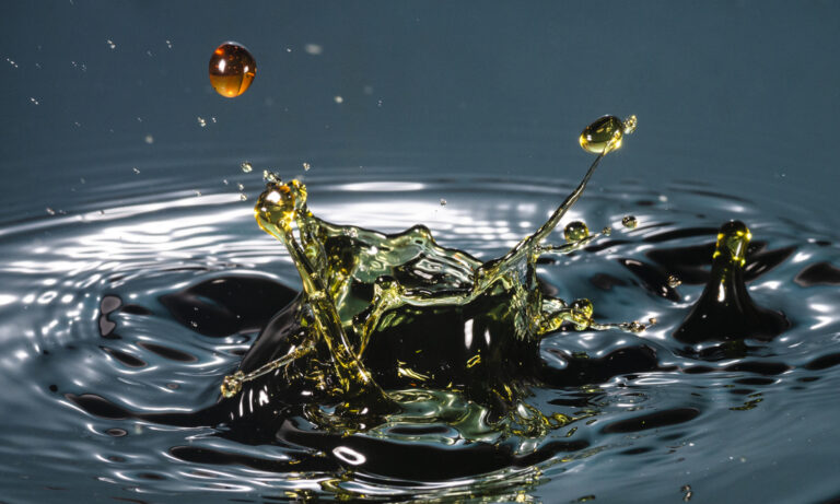 biodiesel, biocombustibles, gasoil, Secretaría de Energía, Resolución 377/2025, Cepreb, costos de producción
