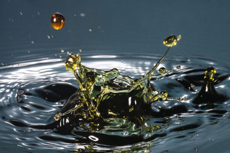 biodiesel, biocombustibles, gasoil, Secretaría de Energía, Resolución 377/2025, Cepreb, costos de producción