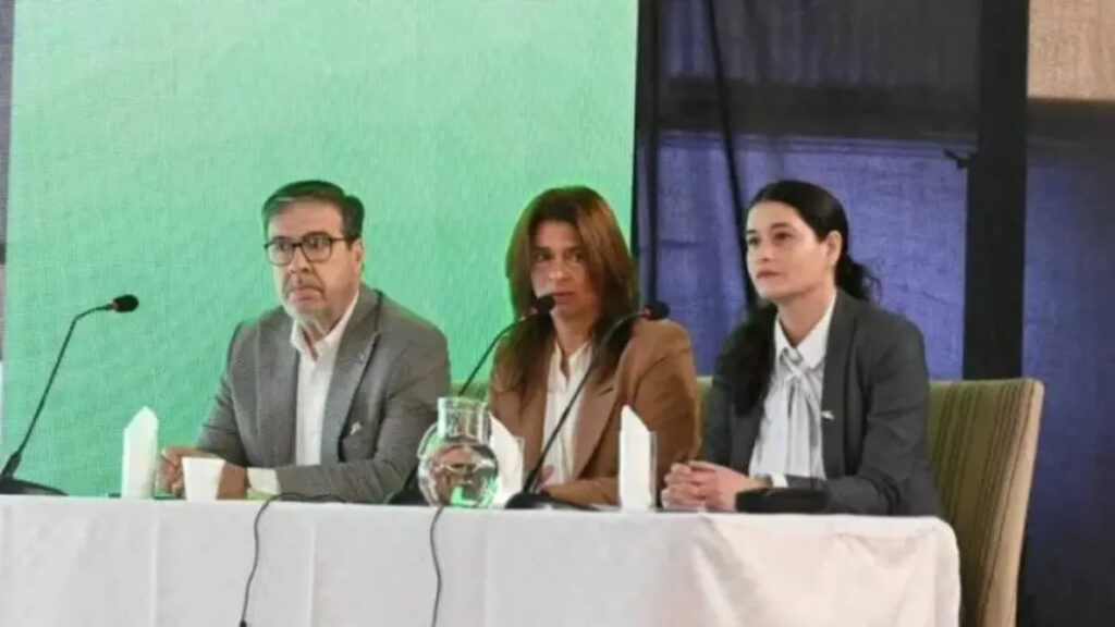 vaca muerta, gnl, río negro, medio ambiente, southern energy, san antonio este, audiencia pública,
