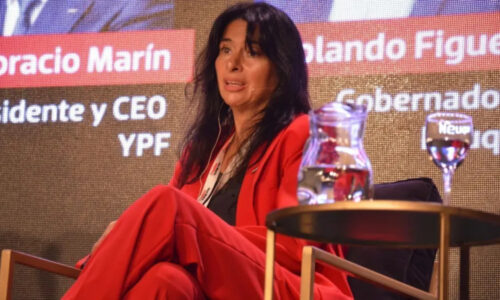 Andrea Confini, Rio Negro, Petróleo, Gas, YPF, Secretaría de Energía