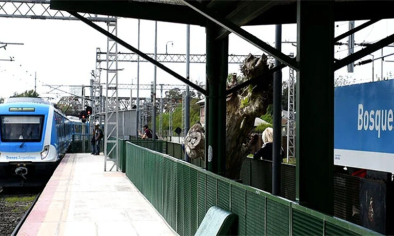 tren roca, berazategui, bosques, sourigues, obras ferroviarias, emergencia ferroviaria, trenes argentinos
