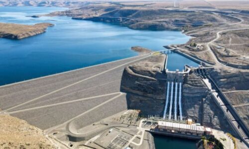 energía, licitaciones, represas del Comahue, Central Puerto, Aluar, María Tettamanti, generación hidroeléctrica, Energía Argentina, ríos Limay y Neuquén