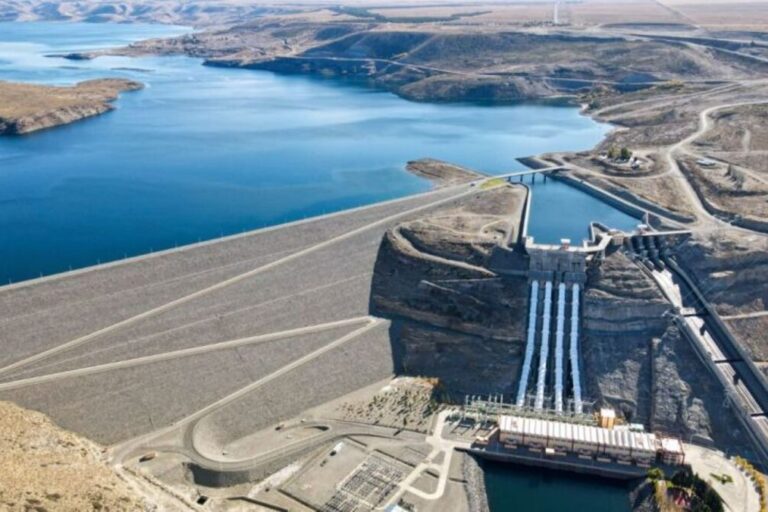 energía, licitaciones, represas del Comahue, Central Puerto, Aluar, María Tettamanti, generación hidroeléctrica, Energía Argentina, ríos Limay y Neuquén