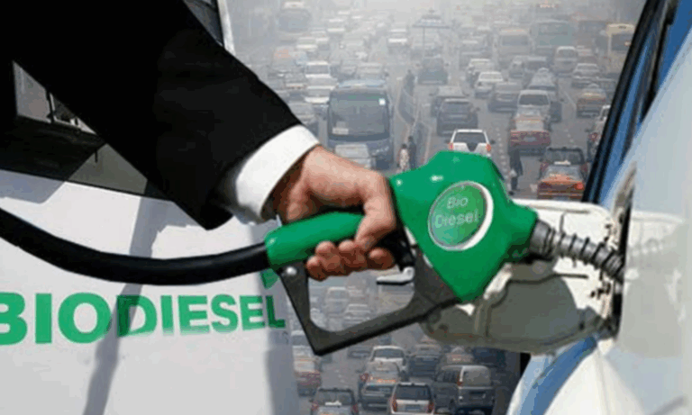 Energía, Biocombustibles, Biodiésel, Bioetanol, Secretaría de Energía,