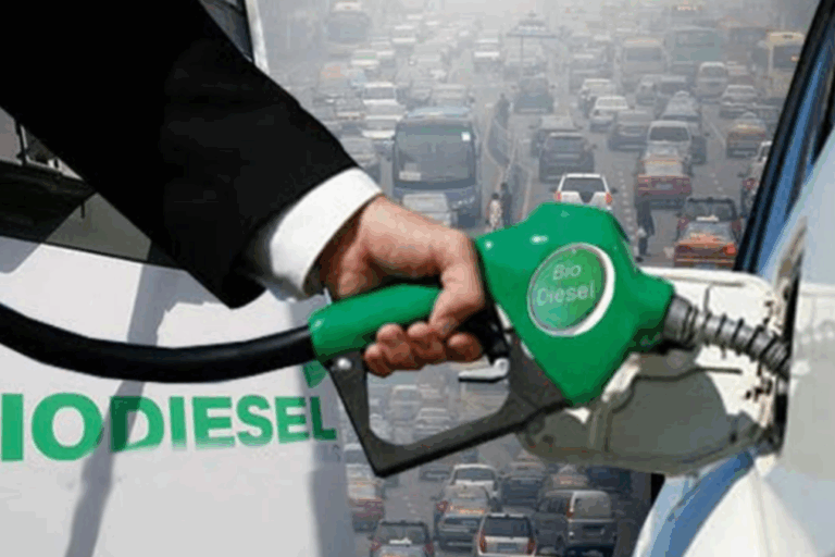 Energía, Biocombustibles, Biodiésel, Bioetanol, Secretaría de Energía,