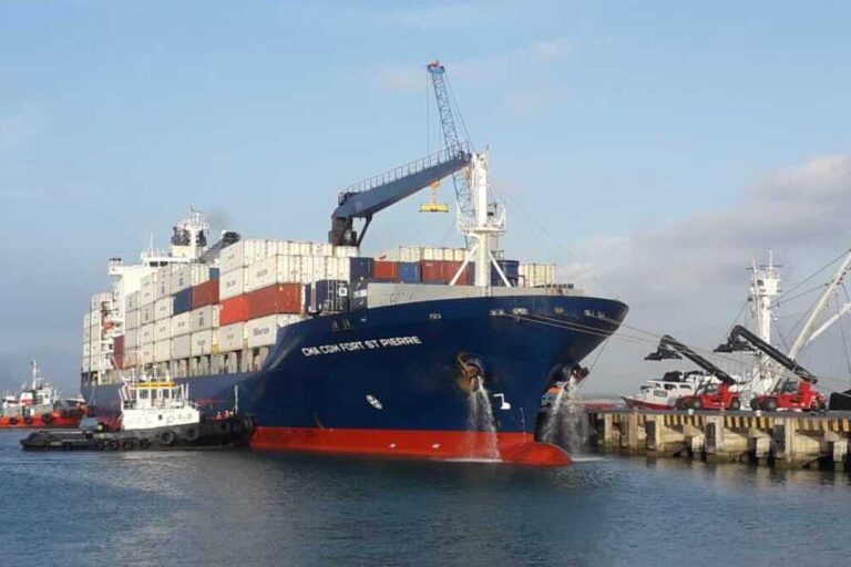 CMA CGM, Mar del Plata, puerto, exportaciones, logística, comercio exterior, transporte marítimo, Maersk,