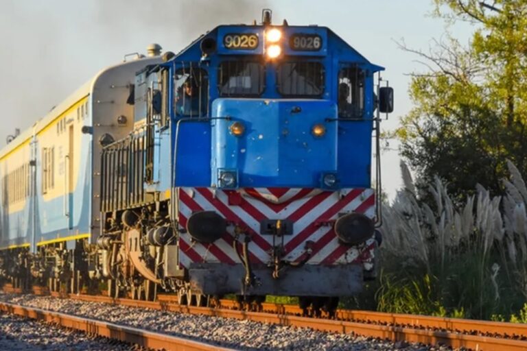 Trenes de larga distancia, Nuevo Central Argentino, Retiro, Córdoba, Tucumán, La Fraternidad