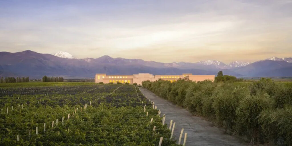 rutini, rutini wine, energías renovables, bodegas, menodza